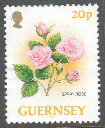 Guernsey Scott 487 Used - Click Image to Close